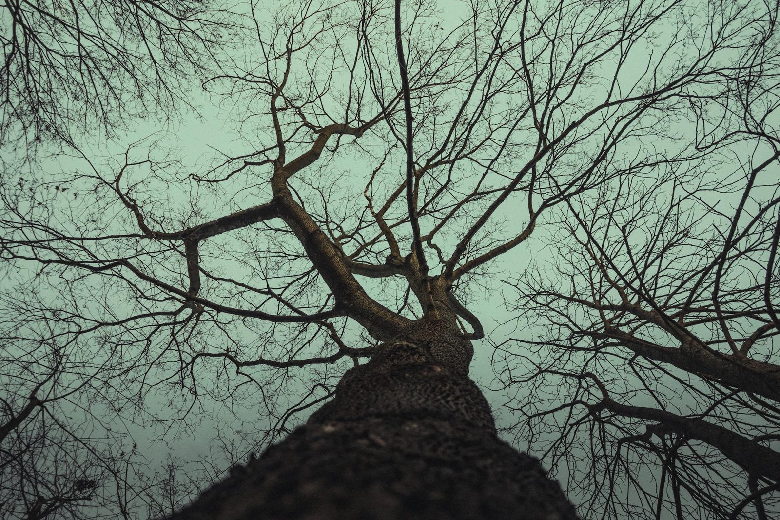 Gambar ilustrasi berita terbaru dengan headline menarik dan visual informatif